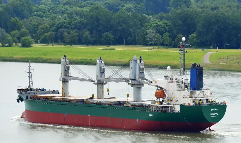 LADY AYSE Bulk Carrier IMO 9227871 photo 6