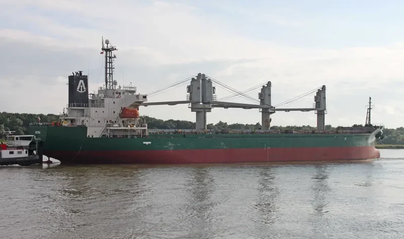 LADY AYSE Bulk Carrier IMO 9227871 photo 7