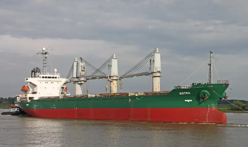 LADY AYSE Bulk Carrier IMO 9227871 photo 8