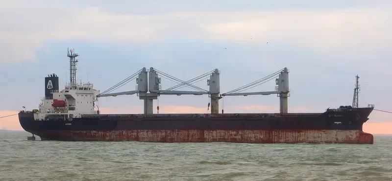 LADY AYSE Bulk Carrier IMO 9227871 photo 9