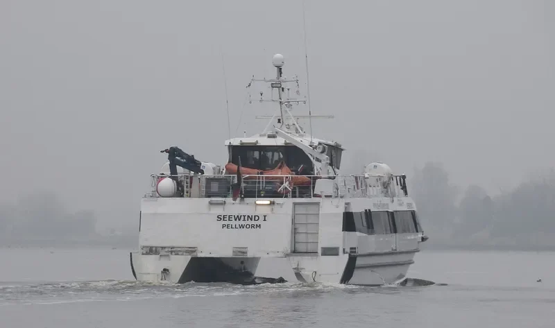 SEEWIND 1 Passenger Ship IMO 9227936 photo 6