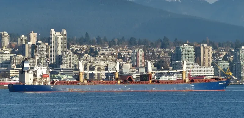 CROWN VISION Bulk Carrier IMO 9227998 photo 2