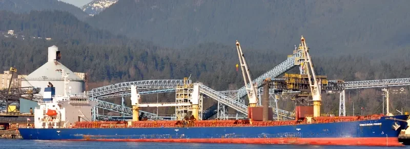 CROWN VISION Bulk Carrier IMO 9227998 photo 4