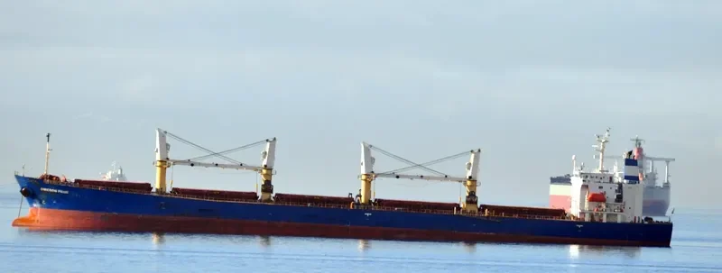 CROWN VISION Bulk Carrier IMO 9227998 photo 5