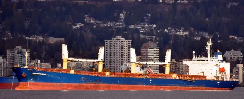 CROWN VISION Bulk Carrier IMO 9227998 photo 6