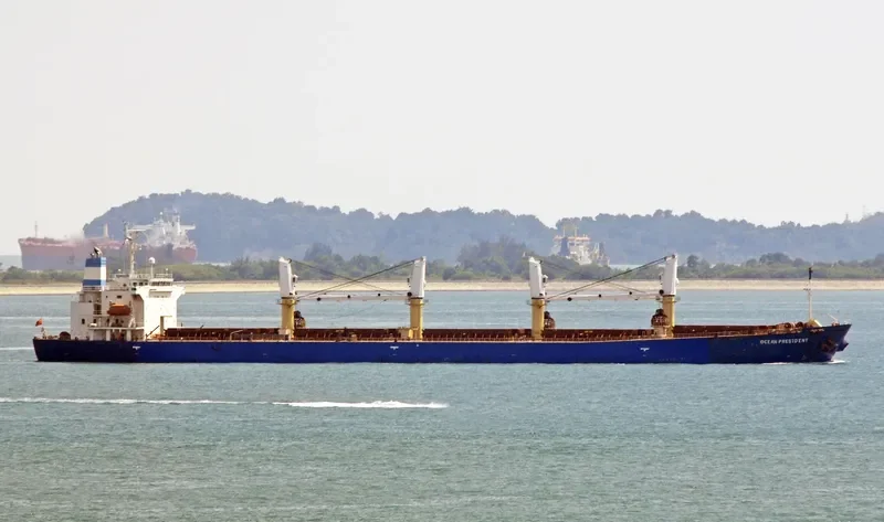CROWN VISION Bulk Carrier IMO 9227998 photo 8