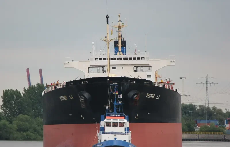 YONG LI Bulk Carrier IMO 9228007 photo 3