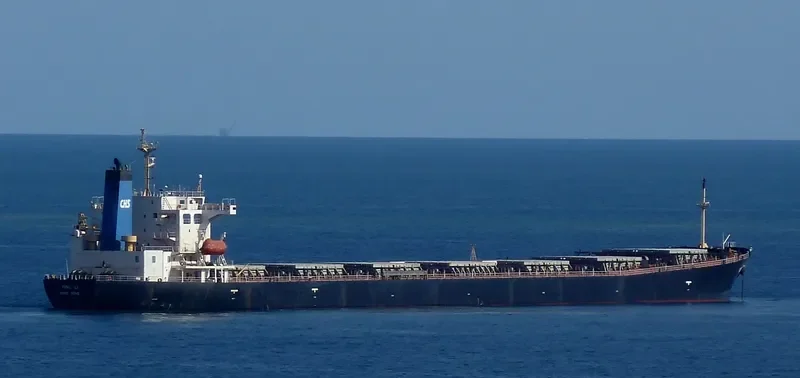YONG LI Bulk Carrier IMO 9228007 photo 7