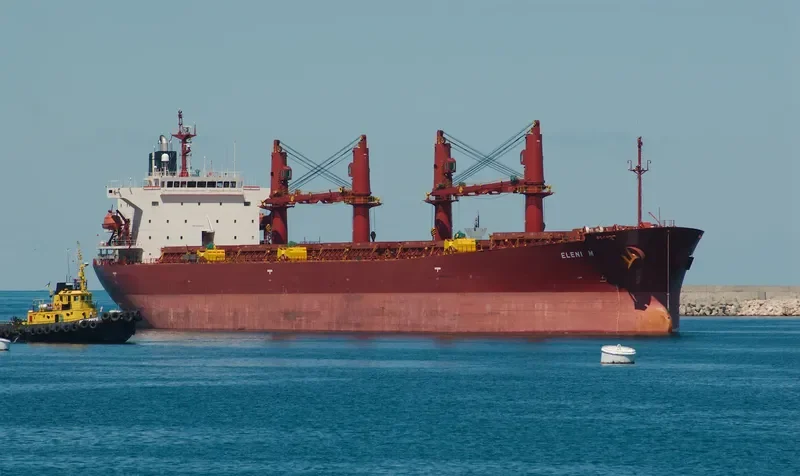 ELENI M Bulk Carrier IMO 9228033 photo 8
