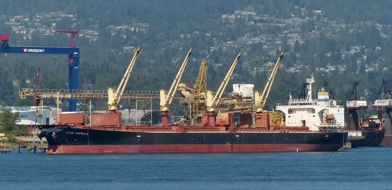 MASTRO MITROS Bulk Carrier IMO 9228071 photo 10