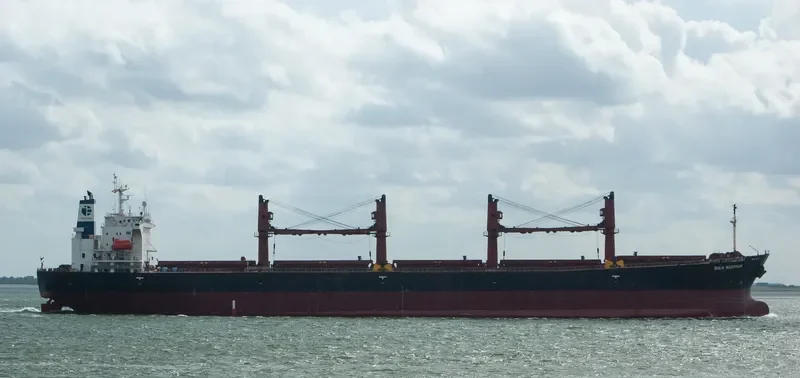 OPHELIA Bulk Carrier IMO 9228083