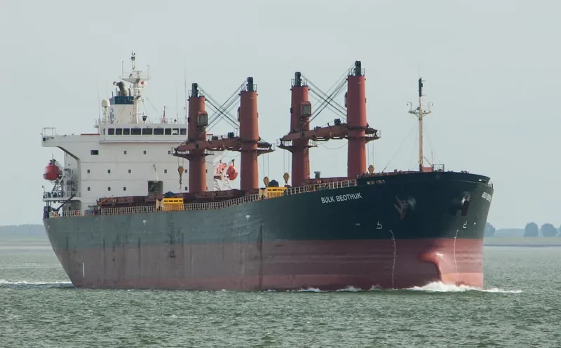 OPHELIA Bulk Carrier IMO 9228083 photo 2