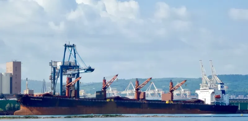 OPHELIA Bulk Carrier IMO 9228083 photo 8