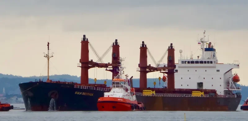 OPHELIA Bulk Carrier IMO 9228083 photo 9