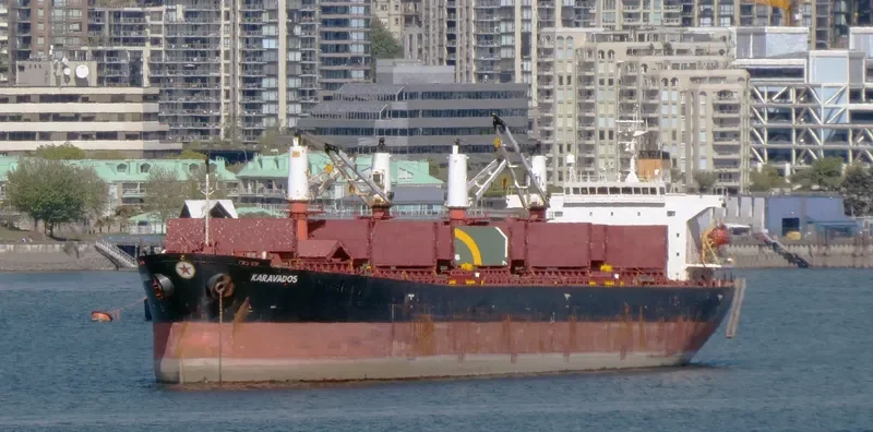 GULLUK Bulk Carrier IMO 9228100 photo 8