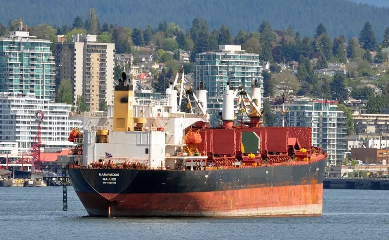 GULLUK Bulk Carrier IMO 9228100 photo 9