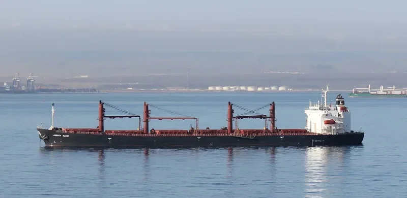 LIBERTY GLORY Bulk Carrier IMO 9228136 photo 7