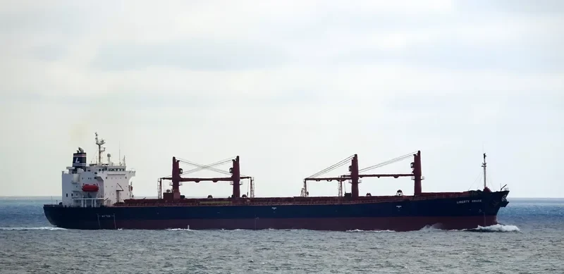 LIBERTY GRACE Bulk Carrier IMO 9228148 photo 10