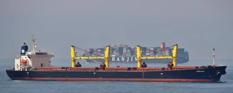 AKSON SARA Bulk Carrier IMO 9228150 photo 3