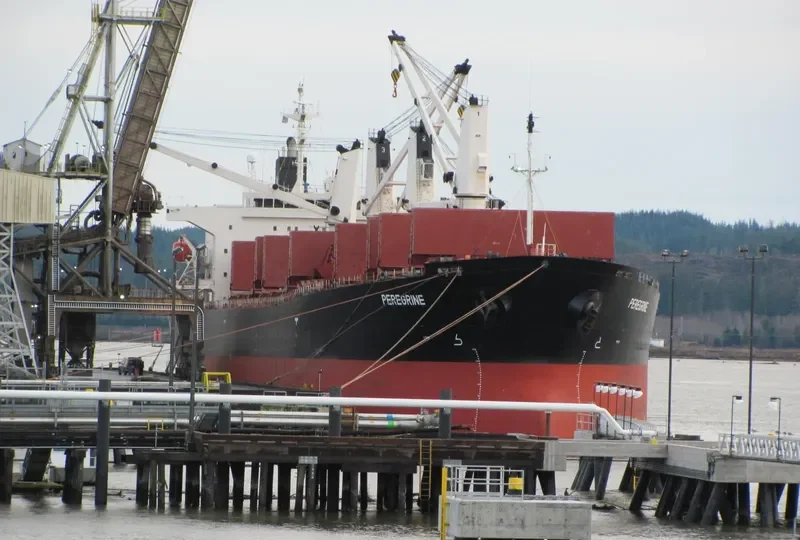 AKSON SARA Bulk Carrier IMO 9228150 photo 5