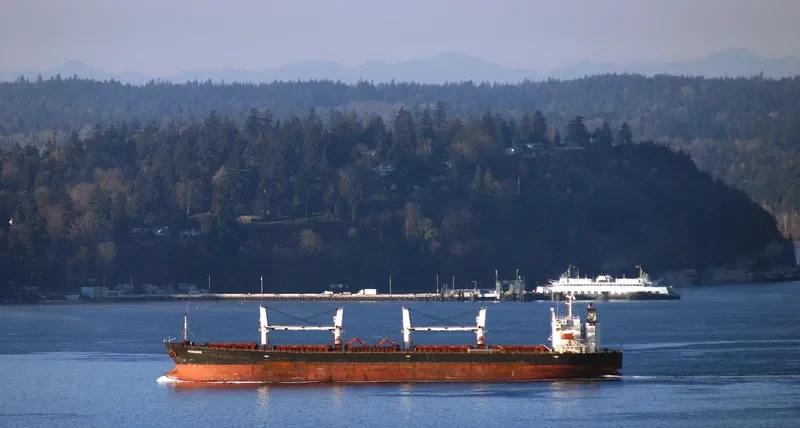 AKSON SARA Bulk Carrier IMO 9228150 photo 9