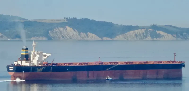 ALAMEDA Bulk Carrier IMO 9228174