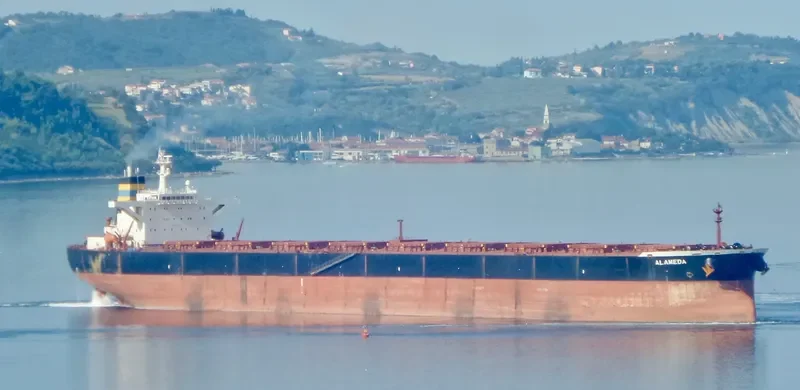 ALAMEDA Bulk Carrier IMO 9228174 photo 2