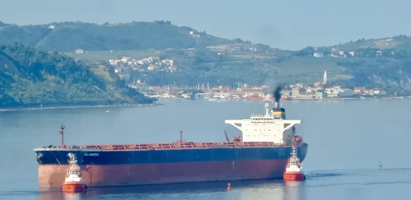 ALAMEDA Bulk Carrier IMO 9228174 photo 3