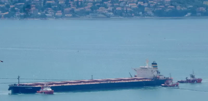 ALAMEDA Bulk Carrier IMO 9228174 photo 5
