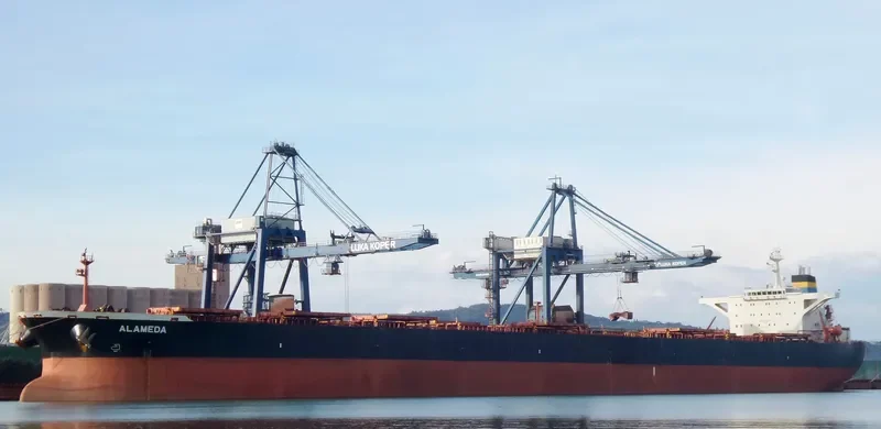 ALAMEDA Bulk Carrier IMO 9228174 photo 8