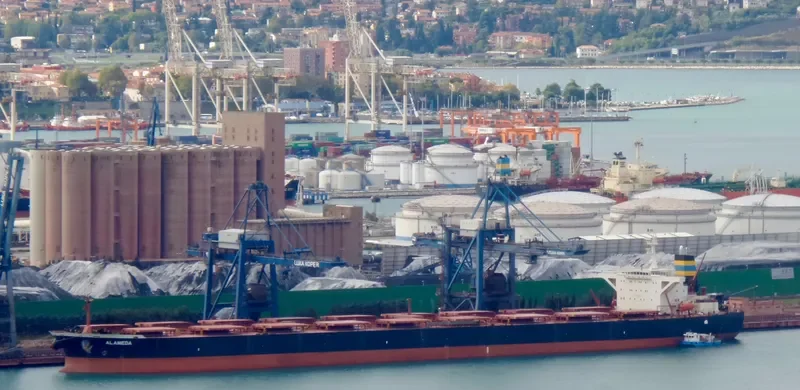 ALAMEDA Bulk Carrier IMO 9228174 photo 9