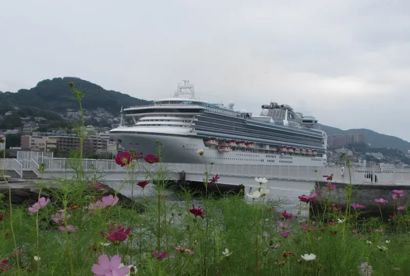 SAPPHIRE PRINCESS Passenger Ship IMO 9228186 photo 8