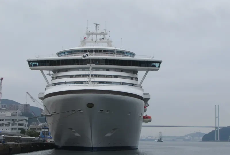 SAPPHIRE PRINCESS Passenger Ship IMO 9228186 photo 9