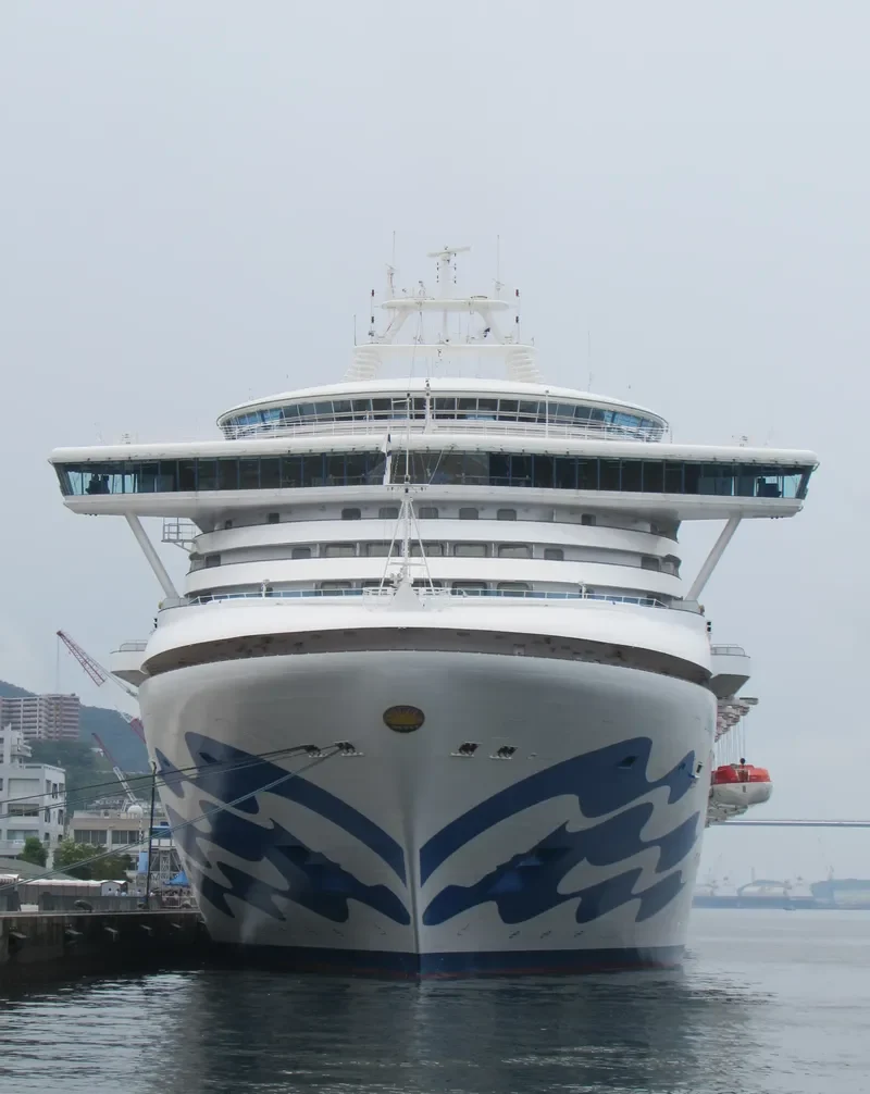 DIAMOND PRINCESS Passenger Ship IMO 9228198 photo 7