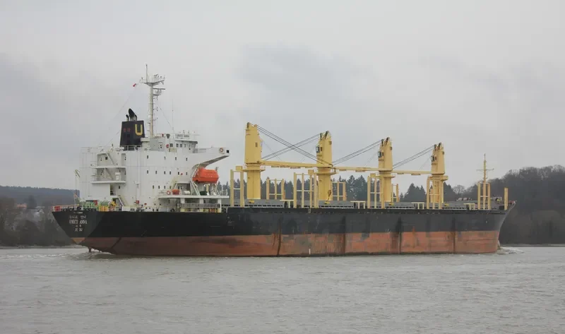RUN FU 8 Bulk Carrier IMO 9228203 photo 7