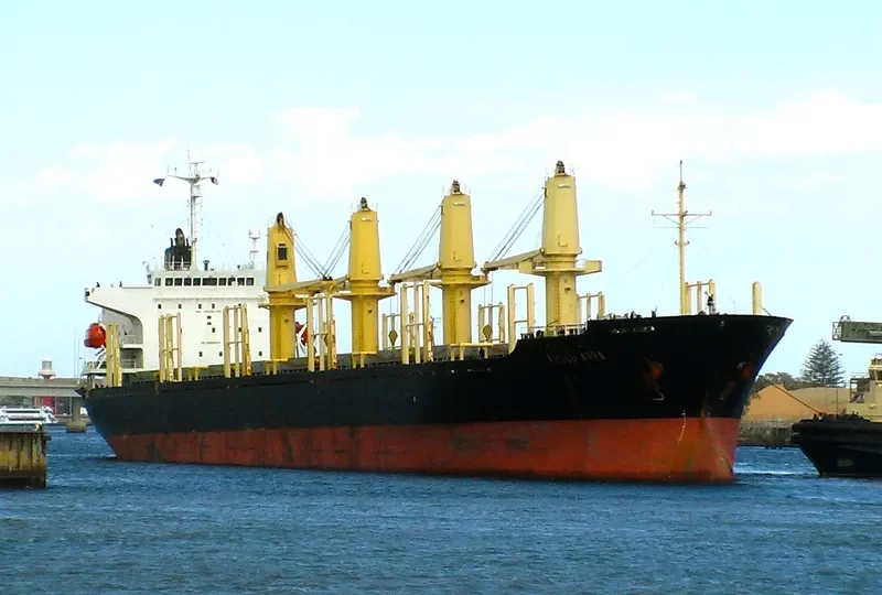 RUN FU 8 Bulk Carrier IMO 9228203 photo 10