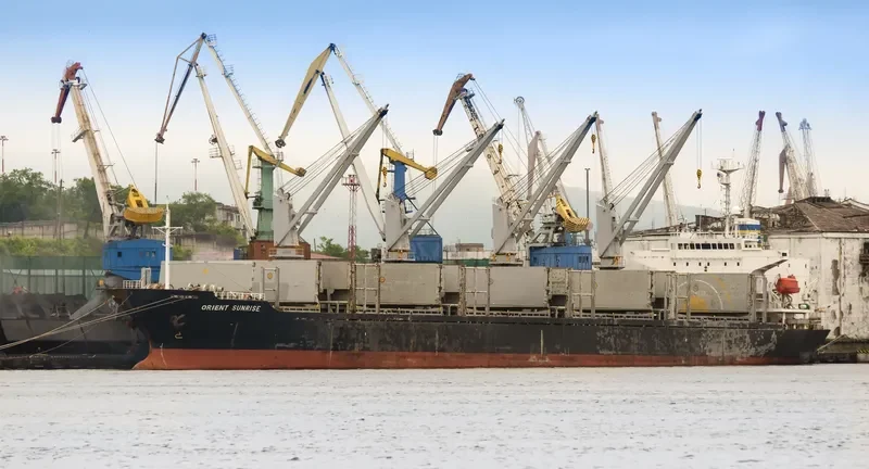 UNIVERSE PROSPERITY Bulk Carrier IMO 9228215 photo 2