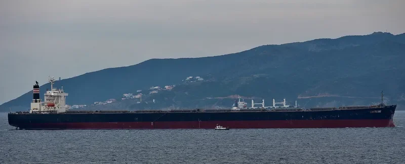 SUNBEAM Bulk Carrier IMO 9228239