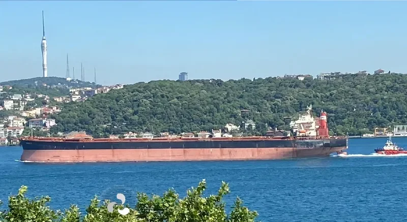 SUNBEAM Bulk Carrier IMO 9228239 photo 7