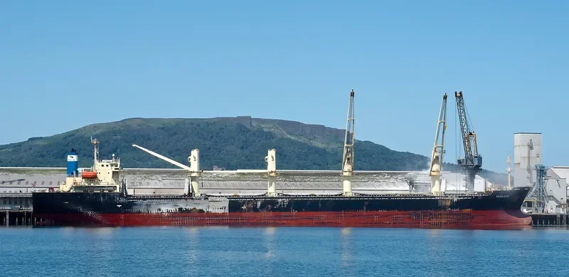 OSPREY BULKER Bulk Carrier IMO 9228265 photo 5