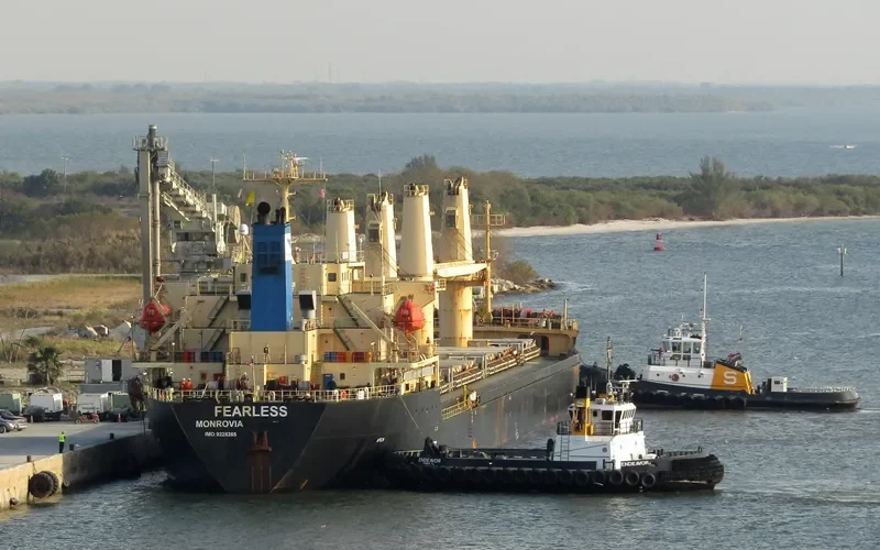 OSPREY BULKER Bulk Carrier IMO 9228265 photo 9