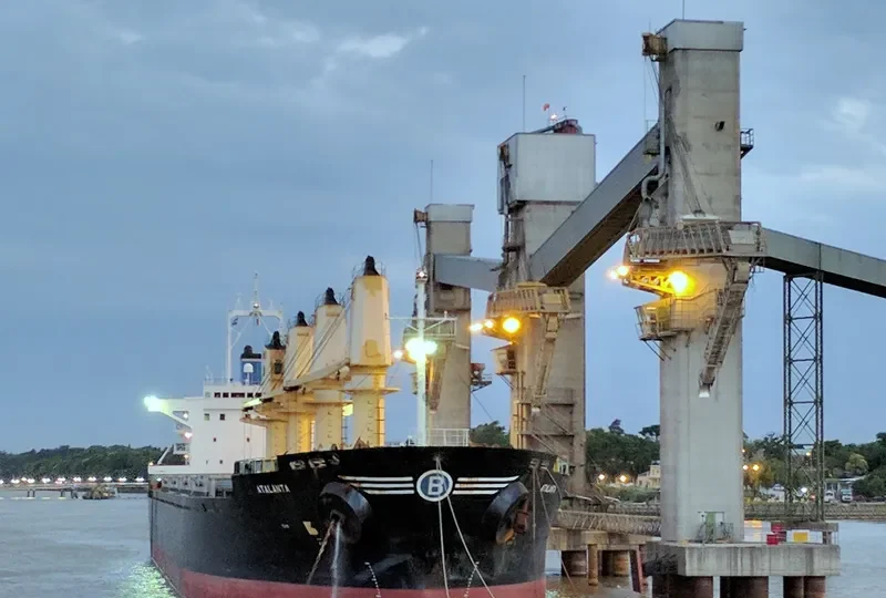 GOLDEN EAGLE Bulk Carrier IMO 9228394 photo 4