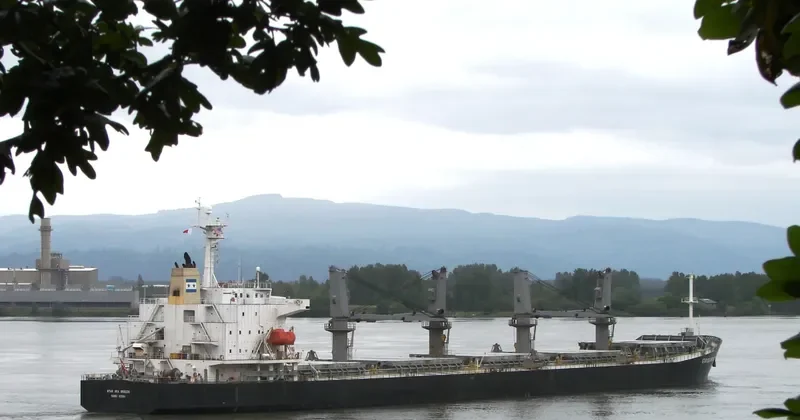 YIN HE HAI NAN DAO Bulk Carrier IMO 9228411 photo 2