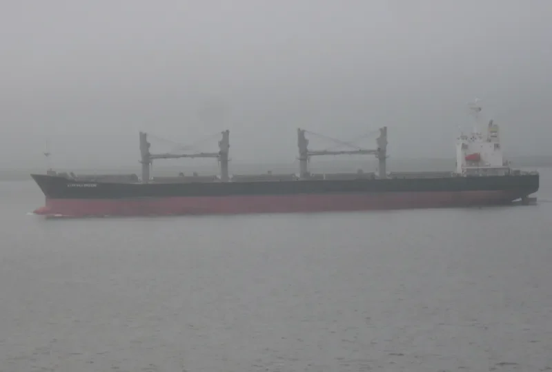 YIN HE HAI NAN DAO Bulk Carrier IMO 9228411 photo 4