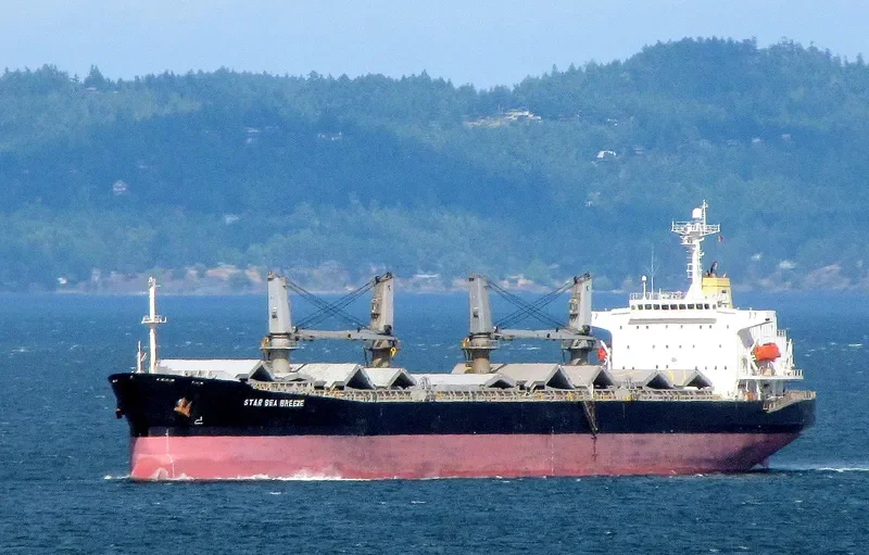 YIN HE HAI NAN DAO Bulk Carrier IMO 9228411 photo 9