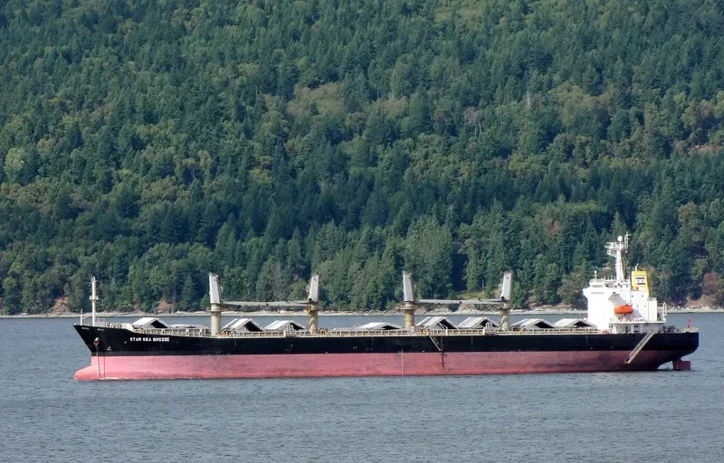 YIN HE HAI NAN DAO Bulk Carrier IMO 9228411 photo 10