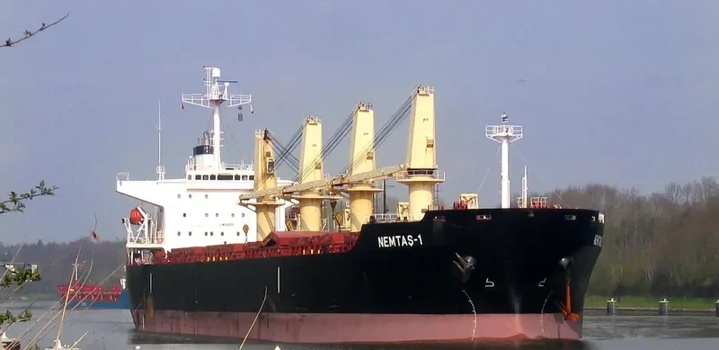 YAN DUN JIAO 1 Bulk Carrier IMO 9228459