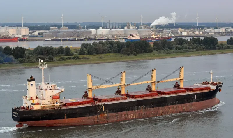 YAN DUN JIAO 1 Bulk Carrier IMO 9228459 photo 3