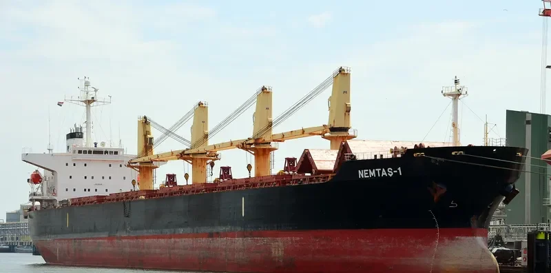 YAN DUN JIAO 1 Bulk Carrier IMO 9228459 photo 4