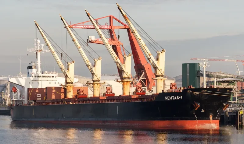 YAN DUN JIAO 1 Bulk Carrier IMO 9228459 photo 5